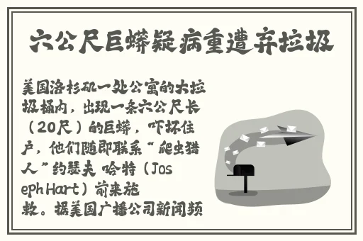 魅影app一分快三
